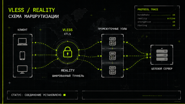 Схема протокола и маршрута — стоимость подписки на vless reality